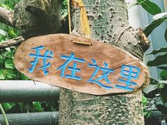 -呀路古热带植物园