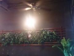 签到图片-HUNTING BAR亨霆鸡尾酒馆(越秀淘金店)
