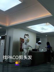 -诗全发型