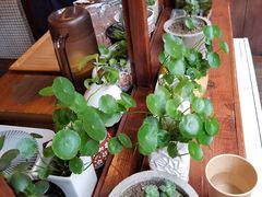 -铃木食堂(帽儿胡同店)