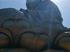 -龙口南山旅游景区