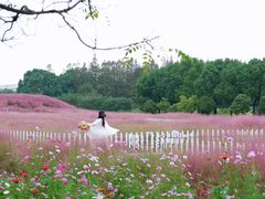 -嘉北郊野公园