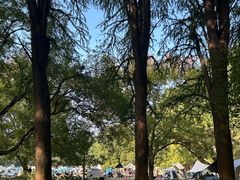 -共青国家森林公园-售票处