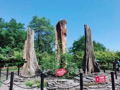 -金钉子远古世界景区