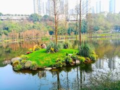 -重庆彩云湖湿地公园
