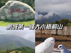 -梧桐山风景名胜区