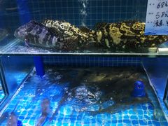 水产区-良师门滨海人家·海鲜·家常菜(滨海城店)