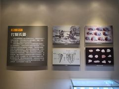 -海口市博物馆