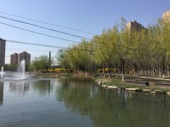 -前关湿地公园