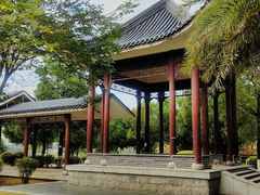 -飞来湖湿地公园