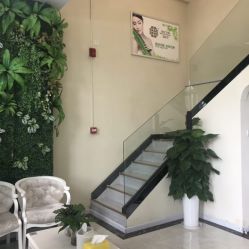 -苗医生草本科技祛痘