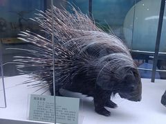 -国家自然博物馆