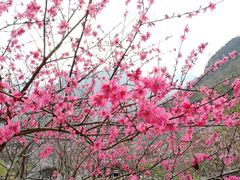 -高岚大峡谷旅游度假区