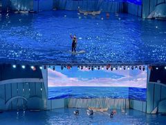 -海合安青岛极地海洋公园