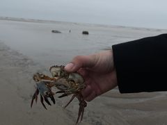 -南澳海滩