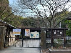 -岚山嵯峨野观光小火车