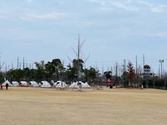 -上海长兴岛郊野公园