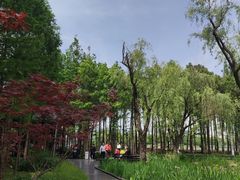 -渤公岛生态公园
