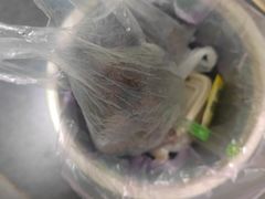 -河间正宗驴肉火烧(宾水西里店)