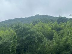 -黄公望隐居地