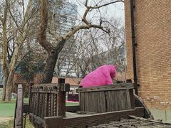 -西安电影制片厂