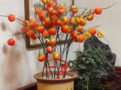 -宋园·金宴浙鲜馆(静安店)