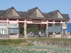 -上海都市菜园