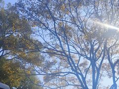 -云南师范大学(一二一西南联大校区)