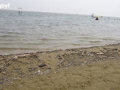 -碧海金沙