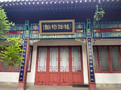 -桃花堤公园