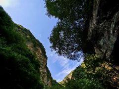 -少华山国家森林公园