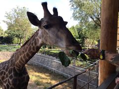 -石家庄市动物园