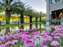 -湖泉水云间餐厅·弥勒地道菜(B座店)