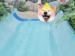 -重庆海昌加勒比海水世界