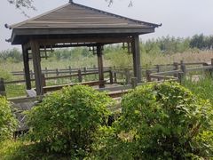 -呼兰河口湿地公园