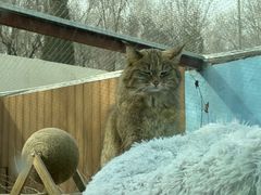 -青藏高原野生动物园