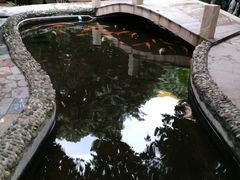 -荔城生鲜盛宴(番禺旗舰店)