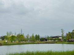 -白鹭湾湿地公园