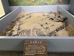 -呼伦贝尔民族博物馆