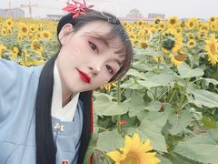 -映月湖中央公园