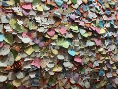 -HONGA HONGA雄家(曹路店)