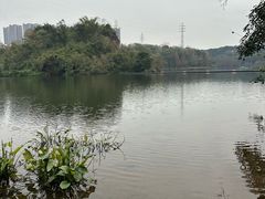 -重庆彩云湖湿地公园
