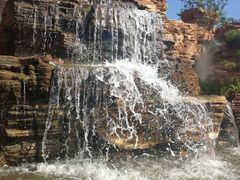 -武清南湖绿博园