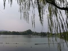 -西湖游船