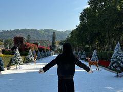 -东南花都花博园