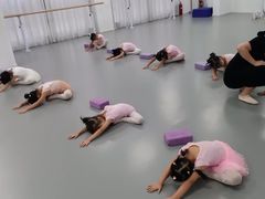 -西安小天鹅艺术团(金花路校区)