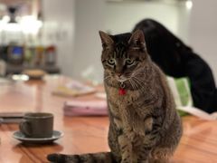 -PAUSE CAFE(南秀村店)