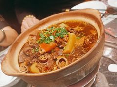 牛杂煲-鹅城粤菜馆(白云山路店)