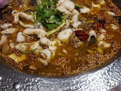 -巴特餐饮6加1音乐餐吧·新疆菜