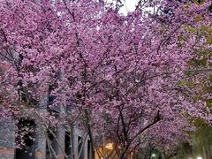 -浙江大学(玉泉校区)